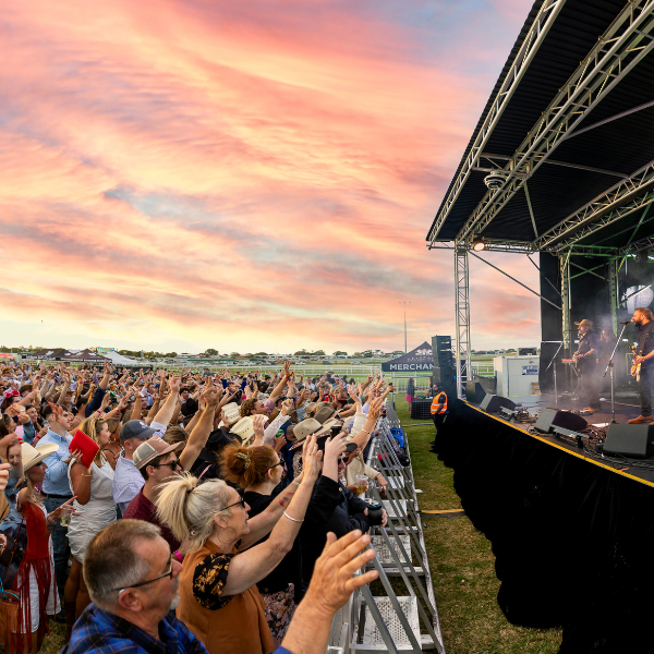 music fans enjoying a live concert